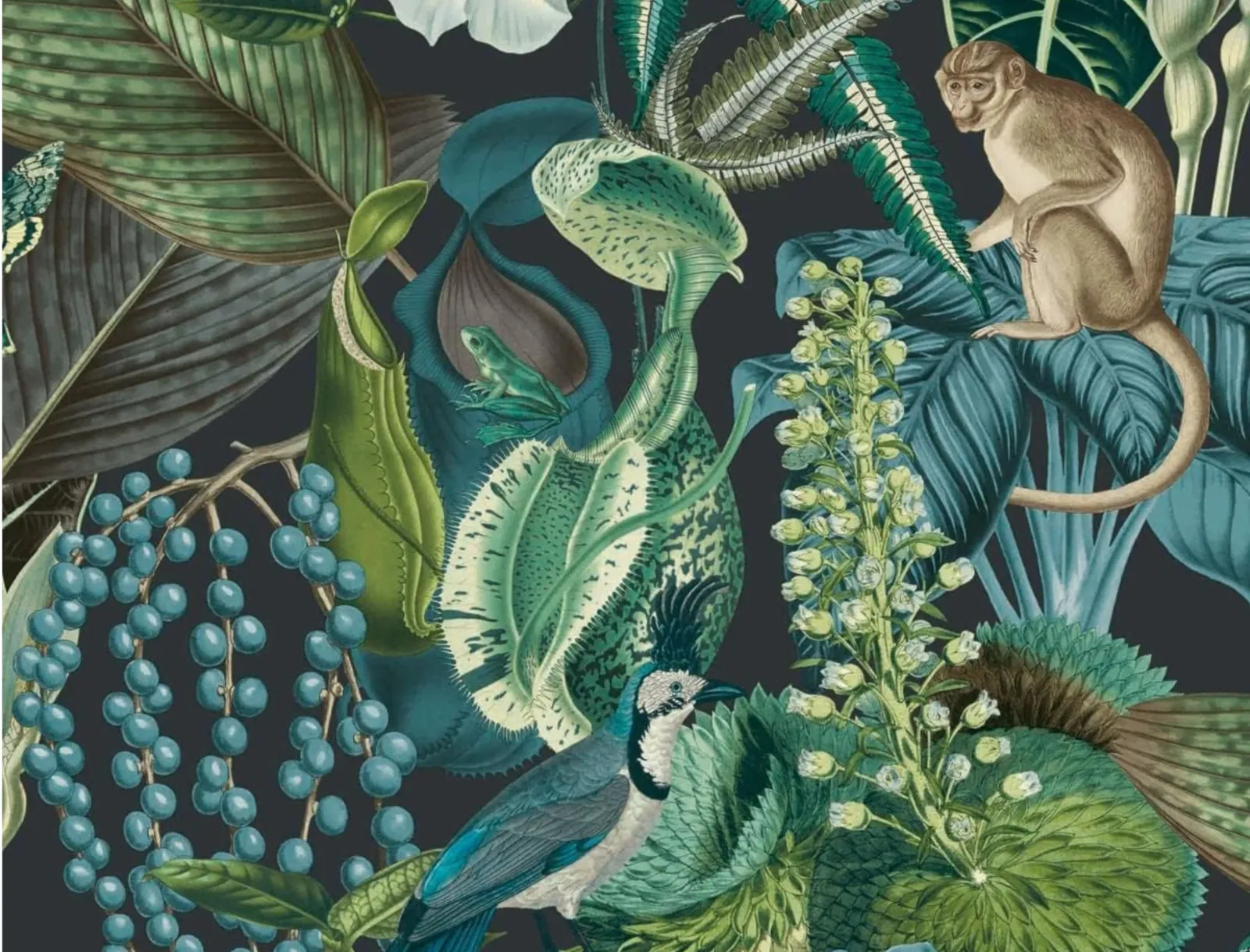 Amazonian Placemat